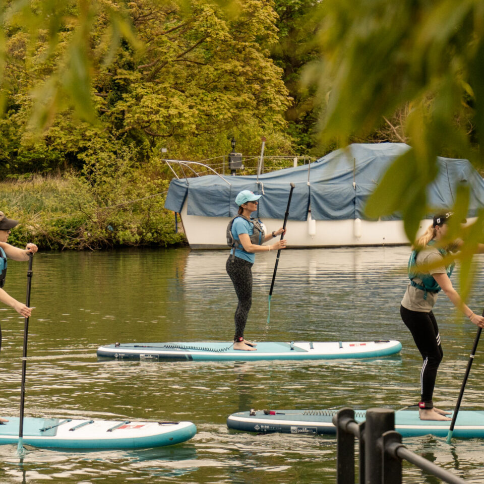 Corporate Wellness Retreats
